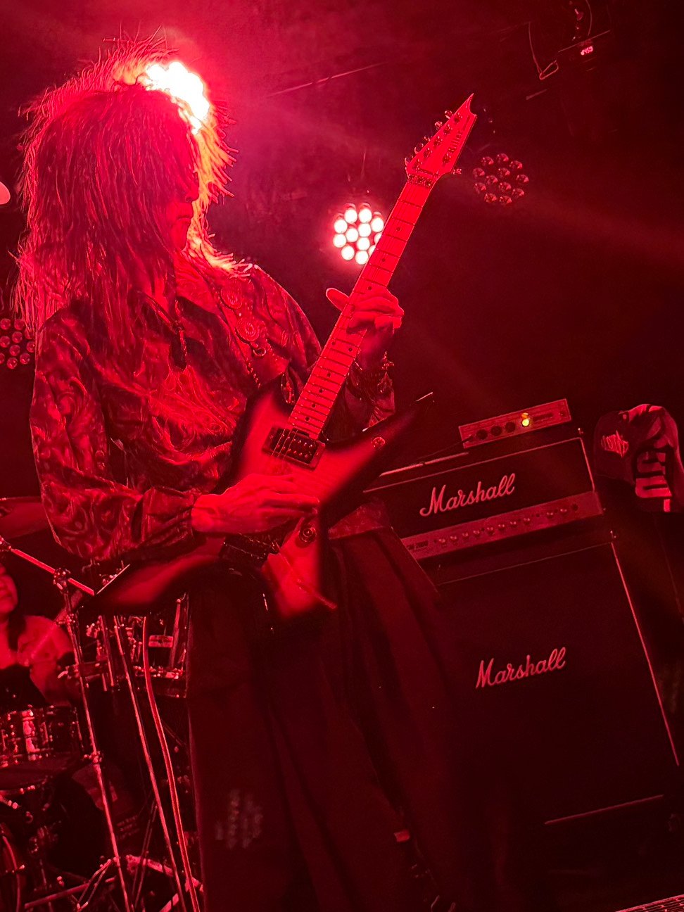 WHITESNAKE cover band